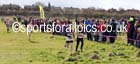 Under-11s, NEHL Wrekenton, Gateshead. 2014 NEH, Wrekenton. Photo: David T. Hewitson/Sports for All Pics